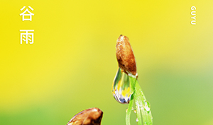谷雨｜春生萬物長(zhǎng),雨落逢初夏-你準(zhǔn)備好迎接夏天了嗎--易造防雷