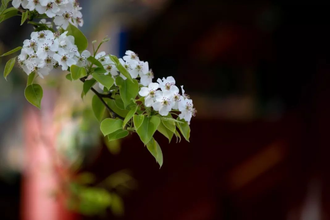 立夏丨春光萬(wàn)象中，夏日初長(zhǎng)成--易造防雷