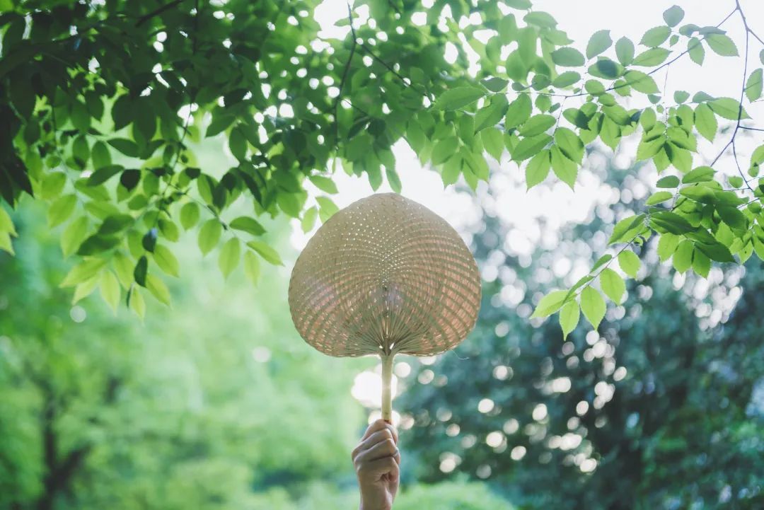 立夏丨春光萬(wàn)象中，夏日初長(zhǎng)成--易造防雷