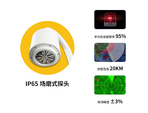 EW 3.0 雷電預(yù)警系統(tǒng)組成-IP65探頭